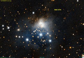 Image illustrative de l’article NGC 2316