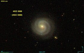 Image illustrative de l’article NGC 5589