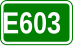 Europese weg 603