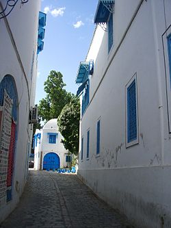 Tipična ulica mesta Sidi Bou Said: bele stene, modri oplesk lesenih delov