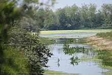 Parc du Marquenterre