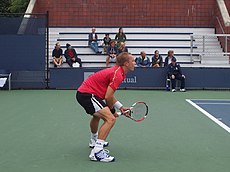 Steve Darcis