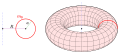 Torus