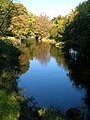 The Annick Water near Cunninghamhead mill.