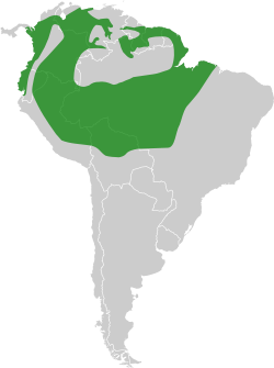      Distribución aproximada