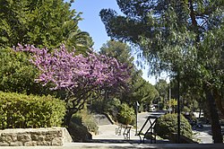 Escales del Campus Mundet