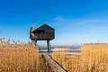 Buitendijkse vogelkijkhut Kiekkaaste in de Dollard bij Nieuwe Statenzijl