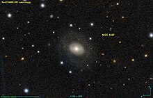 NGC 1227 PanS.jpg