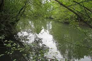 Ehemaliger Teich der Sgoedenmühle