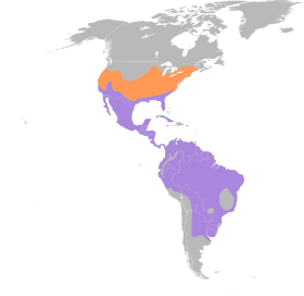 Distribución geográfica de la familia Polioptilidae.