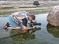 Naturfotografen Urmas Tartes i arbeid Foto: Inga Tartes