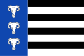 Vlag van Waskemeer