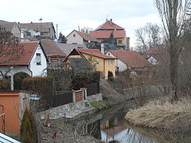 Žabonosy