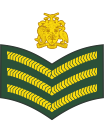 Staff sergeant (Barbados Regiment)[21]