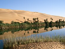 Oasis in Libya.jpg