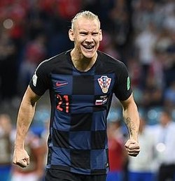 Domagoj Vida