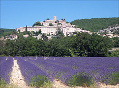 Paysage de plaine et de colline à Banon.