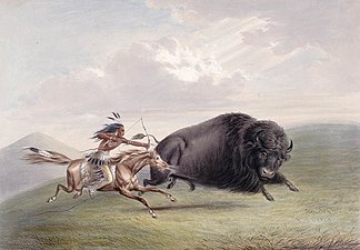 Caccia al bisonte, ritratta da George Catlin