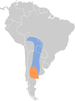 Distribución geográfica de la viudita chica.