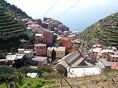 Manarola et son vignoble