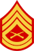 three chevrons up and two down with crossed rifles