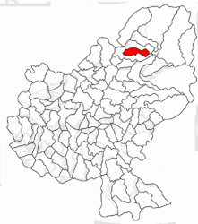 Location in Mureș County