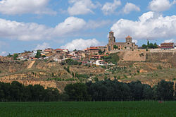 Collegiate church of Santa María la Mayor