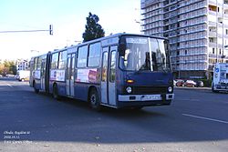 206-os busz a Bogdáni útnál