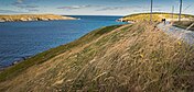 Pad op het schiereiland van Ferryland Head met links zicht op Bois Island