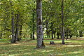 Kurtna mõisa park