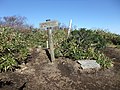 七時雨山北峰 一等三角点がある