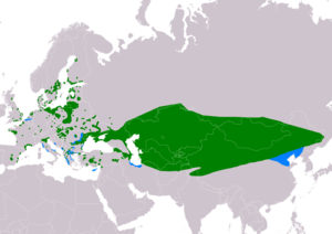 Natura arealo ﻿ Ĉiujare prezencoj ﻿ Vintrejoj