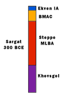 Sargatka ancestry. This is a typical Saka combination of Khövsgöl and Steppe_MLBA ancestry with a small BMAC contribution, and a small specific Siberian contribution (Ekven IA).[4]