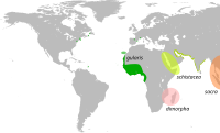 Área de distribución con subespecies e especies relacionadas. Para dimorpha, ver Egretta dimorpha.