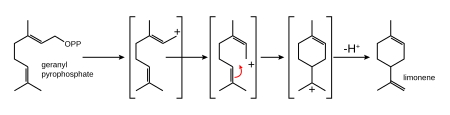 Biosynthesis of limonene from geranyl pyrophosphate