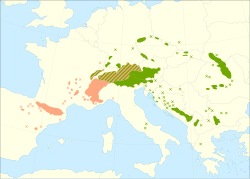 alt=Distribución del pino negro. :     Pinus mugo subsp. uncinata (Pinus uncinata). :     Pinus mugo subsp. mugo y Pinus mugo subsp. rotundata.