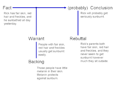 Toulmin argumentation framework example involving a claim, grounds, warrant, qualifier, rebuttal, and backing.