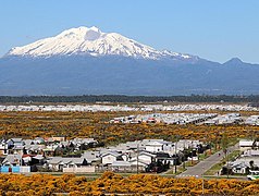 Panorámica del pueblo de Alerce.