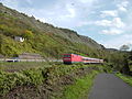 Regionalbahn im Maintal