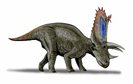 Számítógépes rajz a Pentaceratops sternbergi-ről