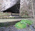 Petnica cave (Петничка Пећина)