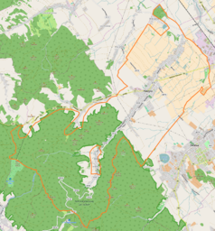 Mapa konturowa Pieszyc, po prawej nieco u góry znajduje się punkt z opisem „Pieszyce Środkowe”