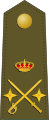 General de división (Spanish Army)[27]