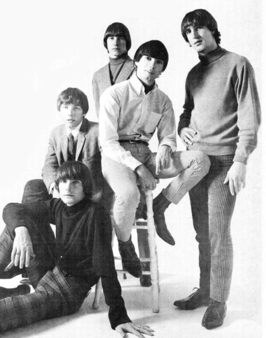 The Leaves, 1966