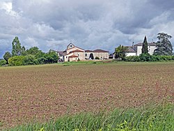 Skyline of Sénestis