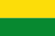 Bandeira de Vichada