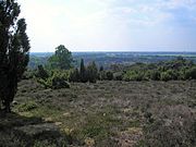 Zicht van af de Lemelerberg