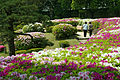 Rhododendrons al jardí de Sōrakuen, Kobe