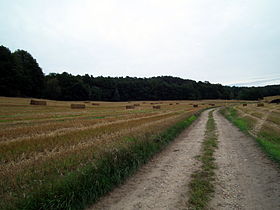 Le Kutschenberg (centre) dans les Kmehlener Berge.