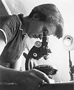 Portrait de Rosalind Franklin en 1955